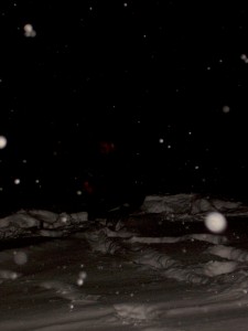 2001.12.15 20.16.14.jpg